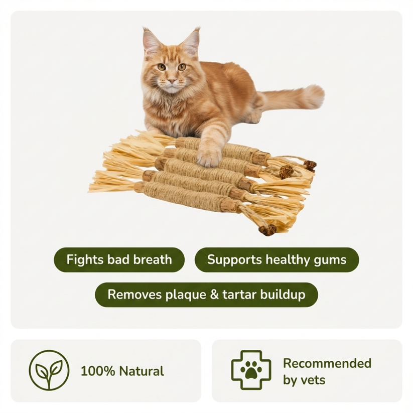 Comfora Pure Silvervine Dental Sticks
