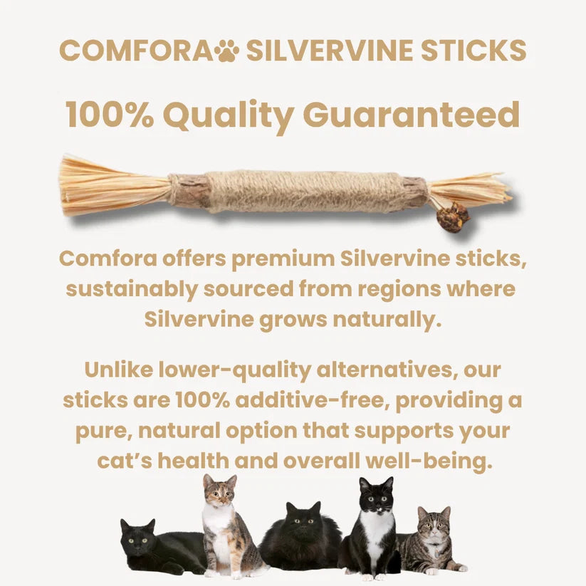 Comfora Pure Silvervine Dental Sticks